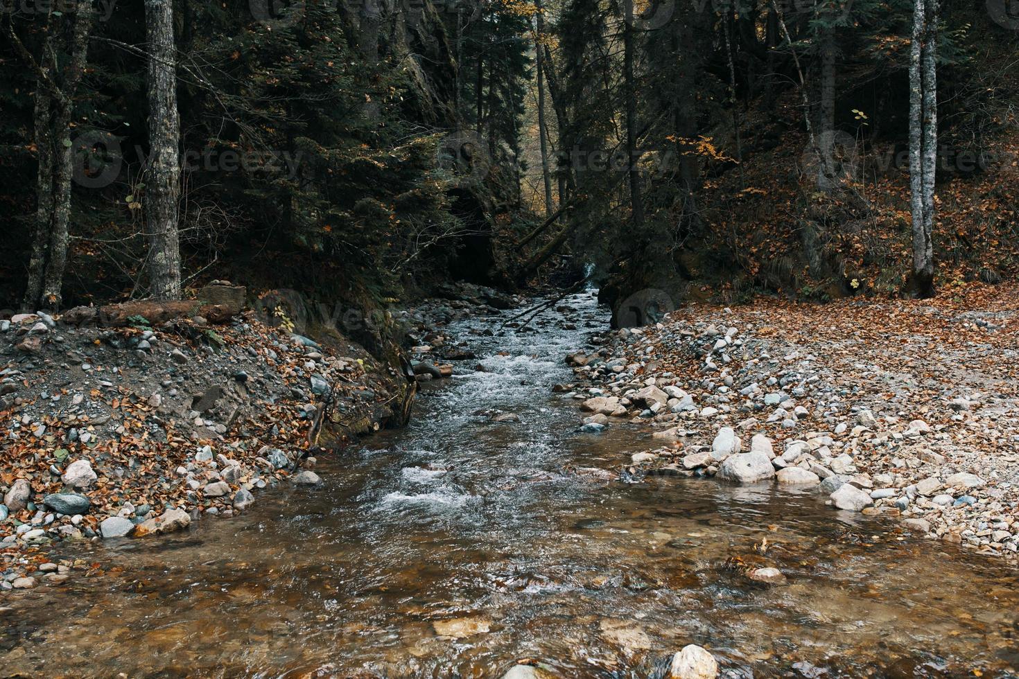 berg rivier- natuur Woud reizen levensstijl foto