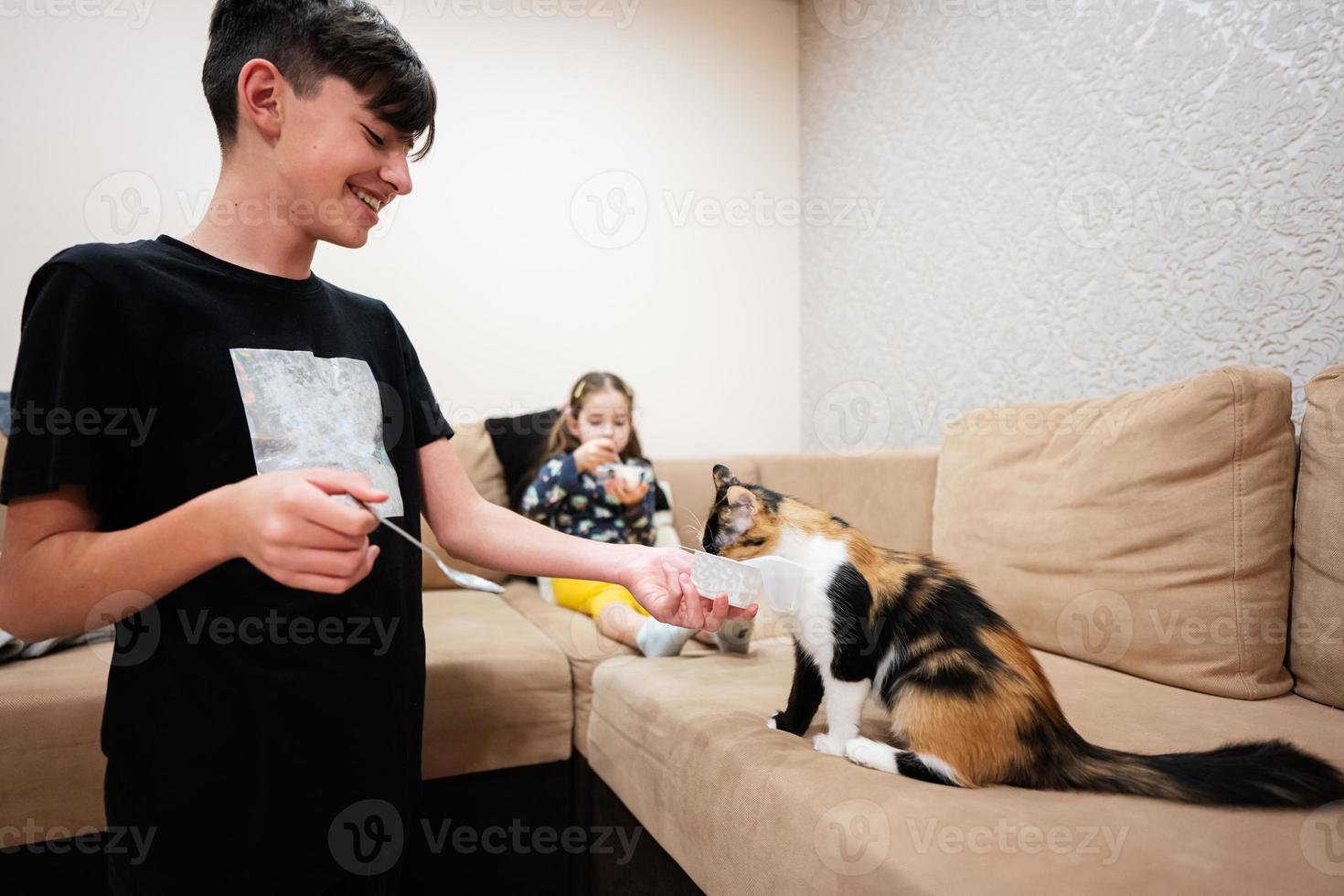 voeden de kat met yoghurt van een lepel Bij huis. foto