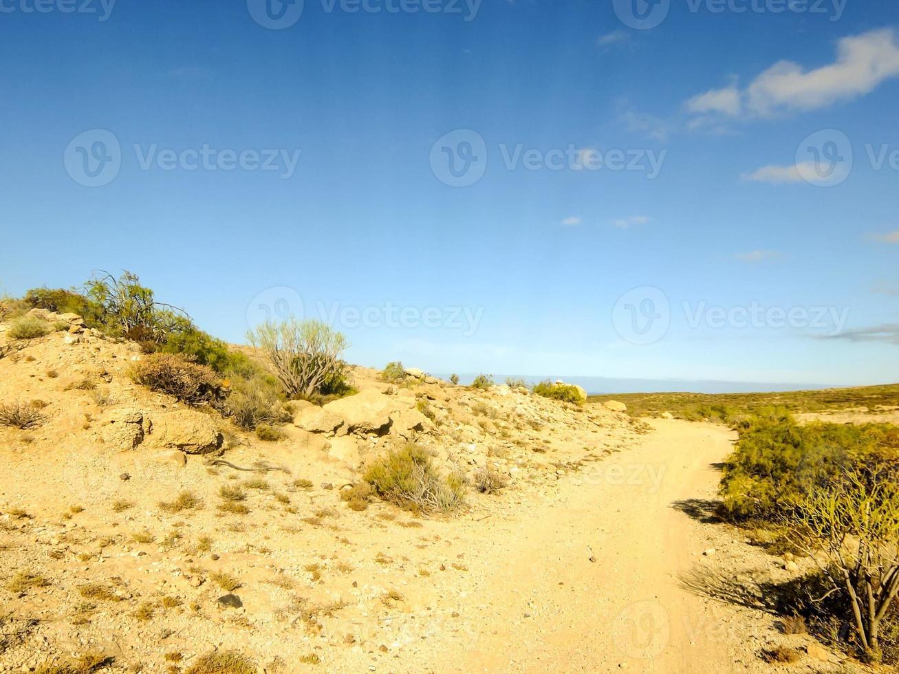 toneel- landelijk landschap foto