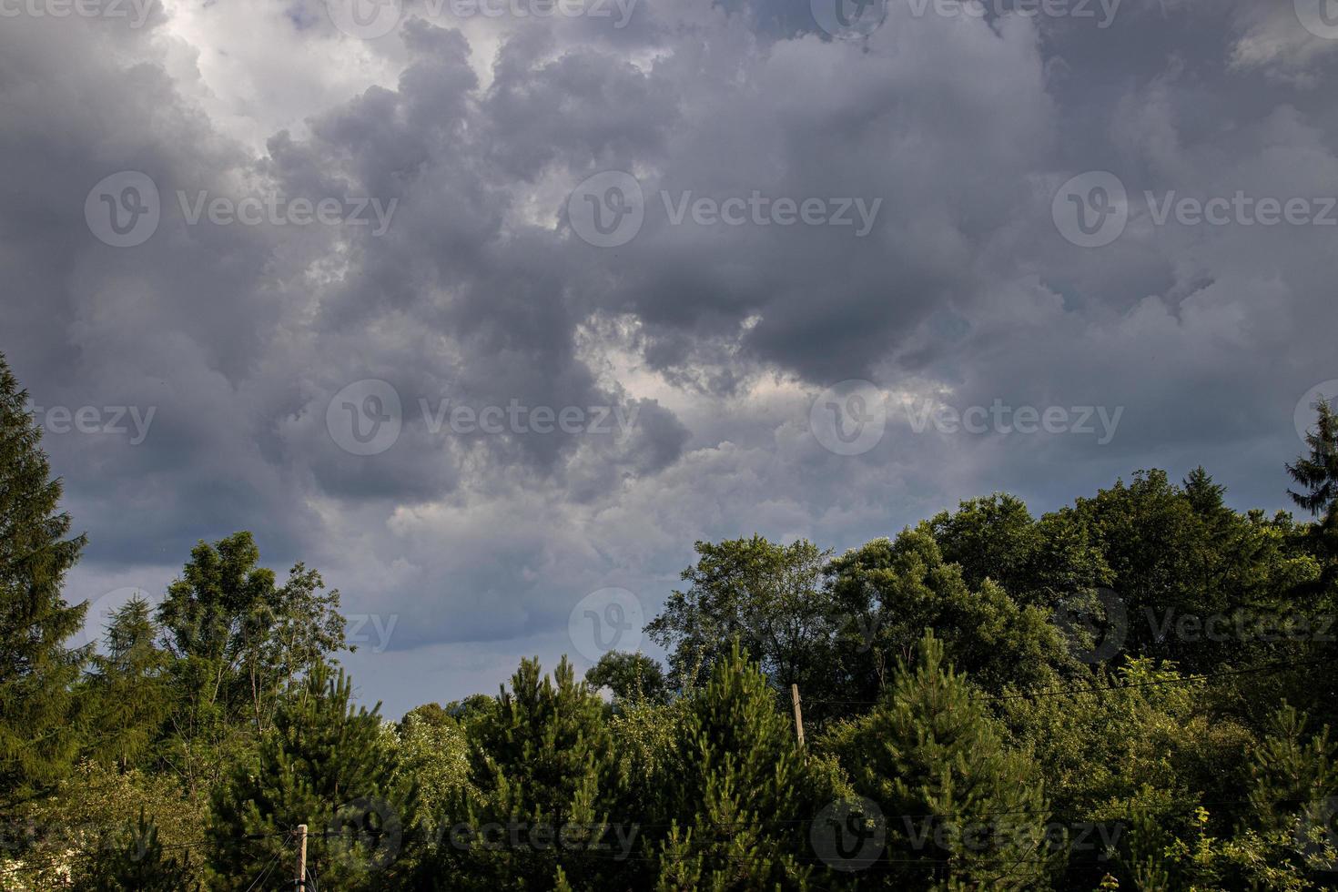 lucht met grijs wolken tegen de backdrop van groen bomen Aan een warm zomer dag foto
