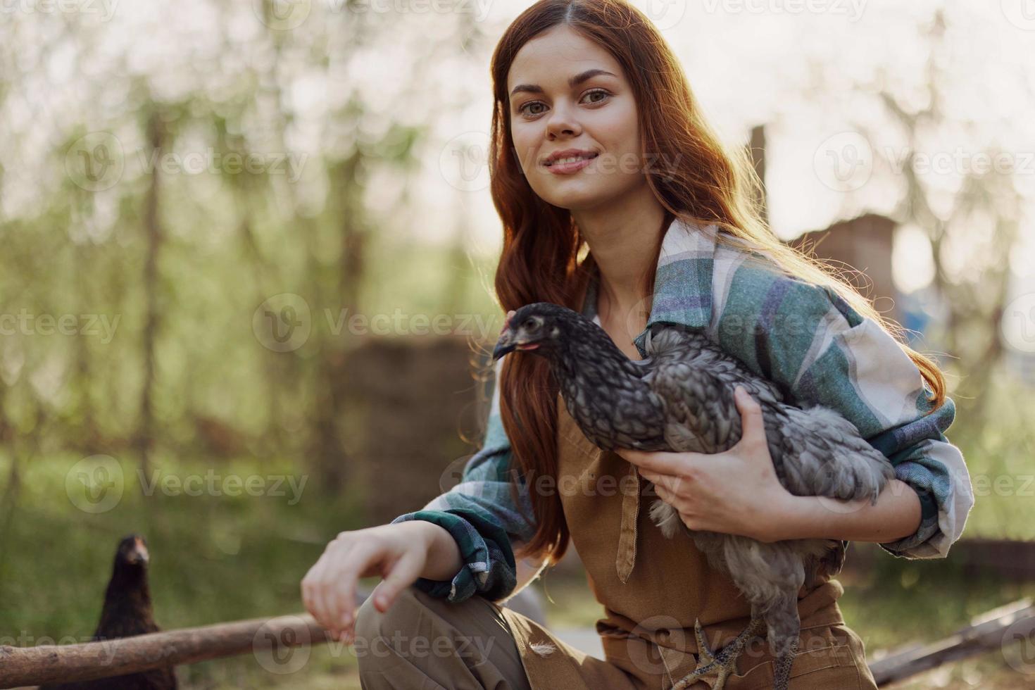 een vrouw met een glimlach duurt zorg van een gezond kip en houdt een kip in haar handen terwijl werken Aan een boerderij in natuur voeden biologisch voedsel naar vogelstand in de zonneschijn. foto