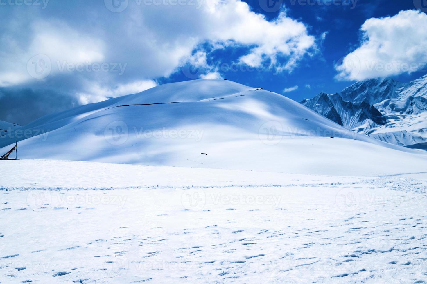 witte sneeuw en blauwe lucht foto