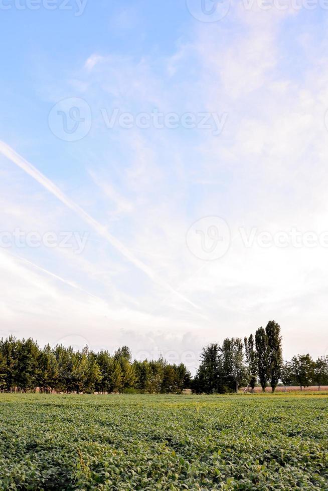 toneel- landelijk landschap foto