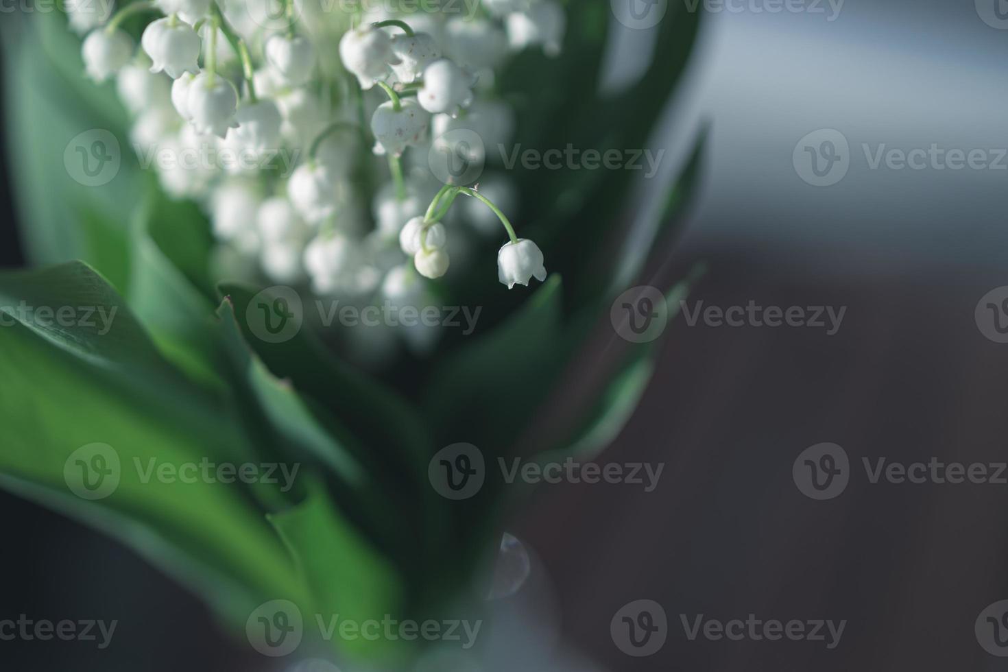 lelie van de vallei boeket met Aan een achtergrond van groen bladeren foto