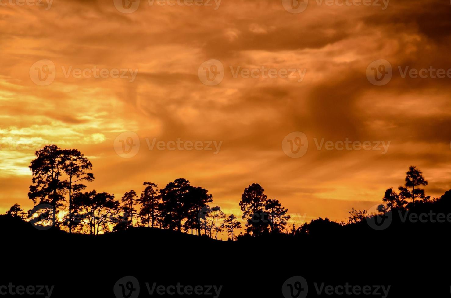 toneel- landelijk landschap foto