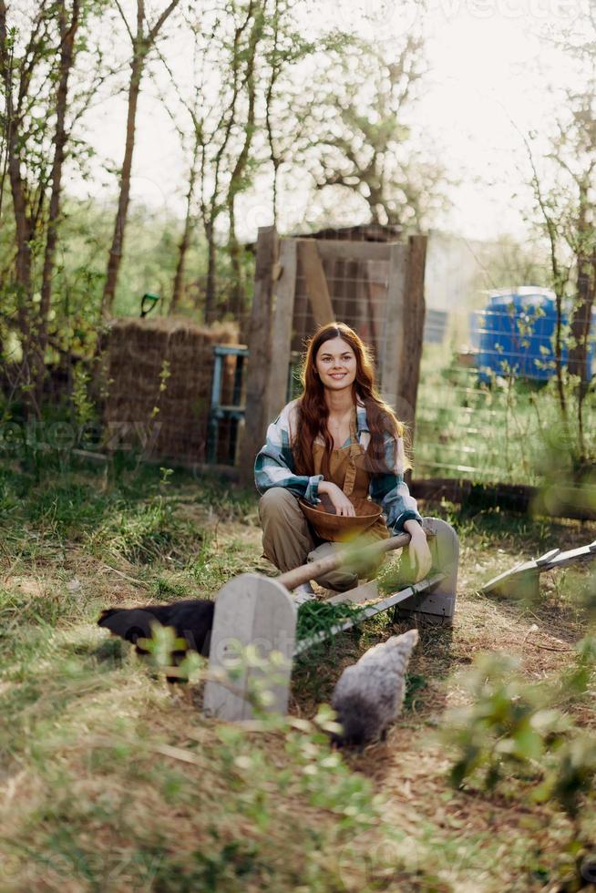 een vrouw werken Aan een boerderij en feeds haar kippen gezond voedsel, zetten jong, biologisch gras in hun voeders naar voeden hen foto