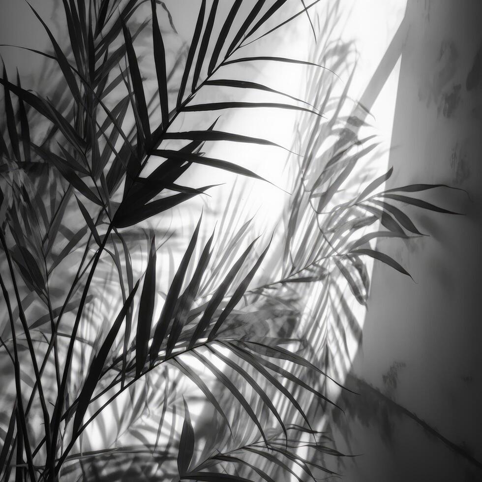 palm bladeren schaduw. illustratie ai generatief foto