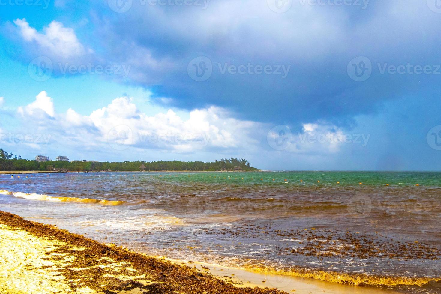 tropisch caraïben strand water zeewier sargazo playa del carmen Mexico. foto