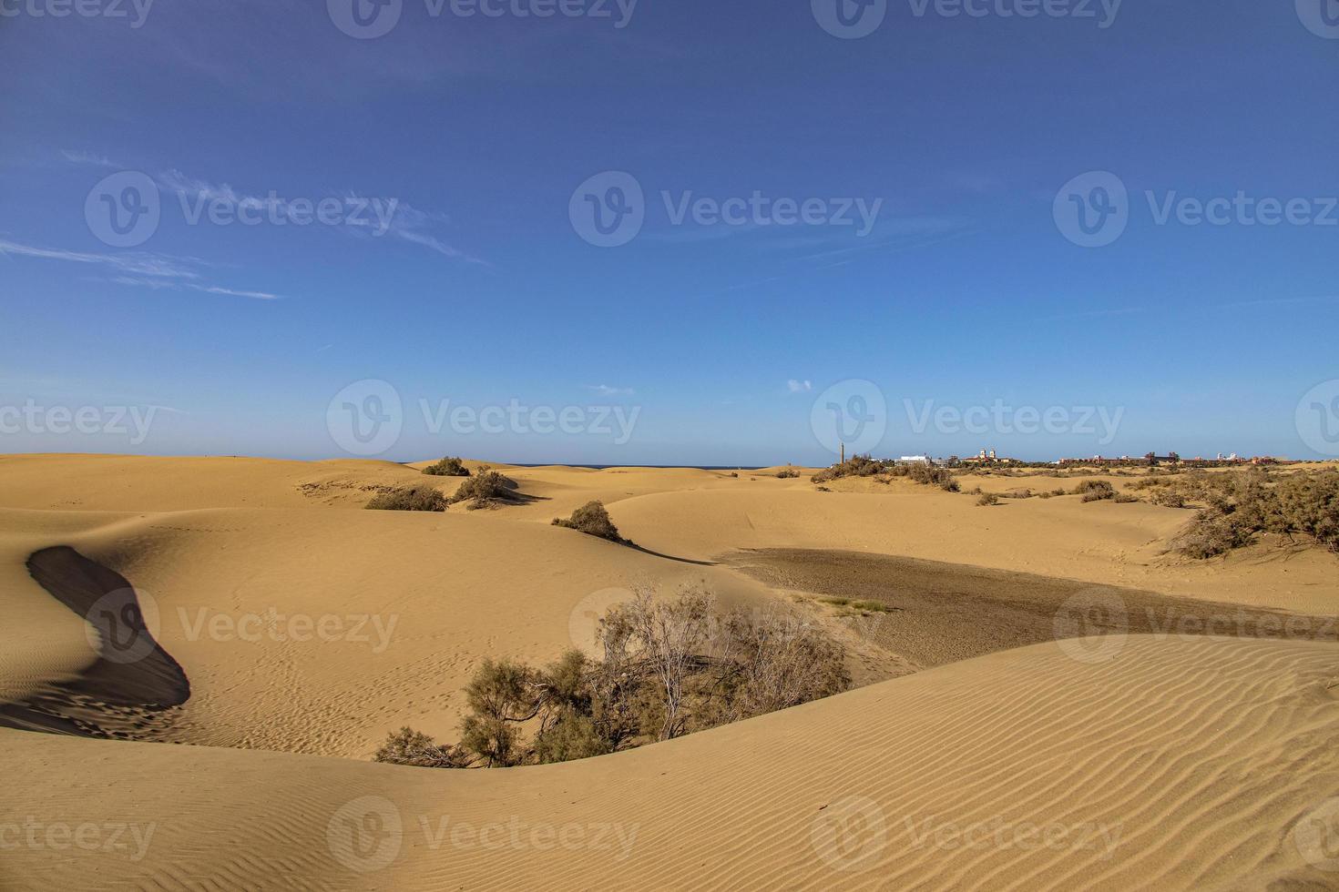 zomer woestijn landschap Aan een warm zonnig dag van maspalomen duinen Aan de Spaans eiland van oma canaria foto