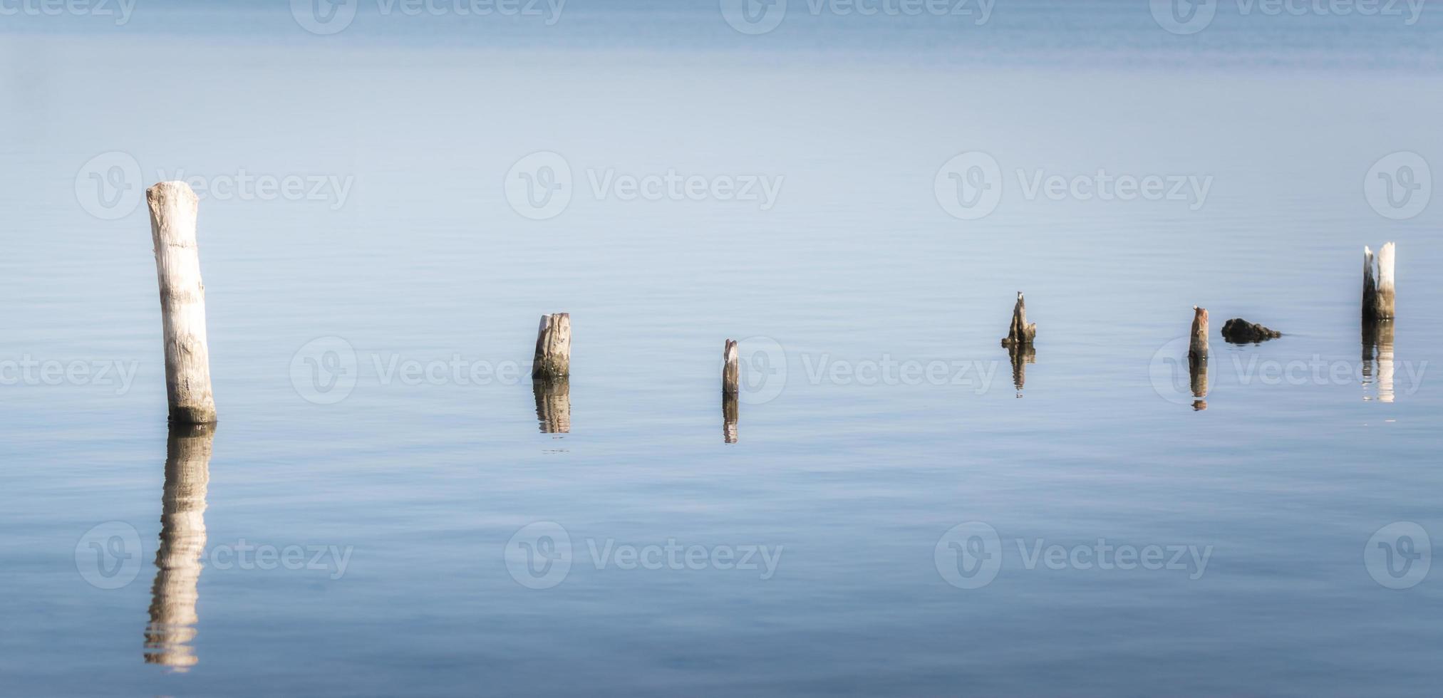 houten palen in kalm water foto