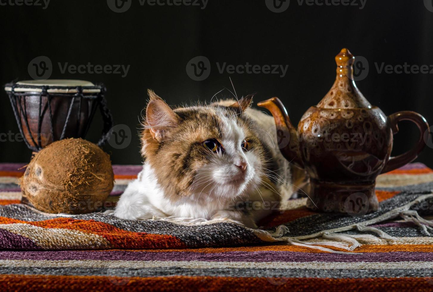 kat met waterketel en brood foto