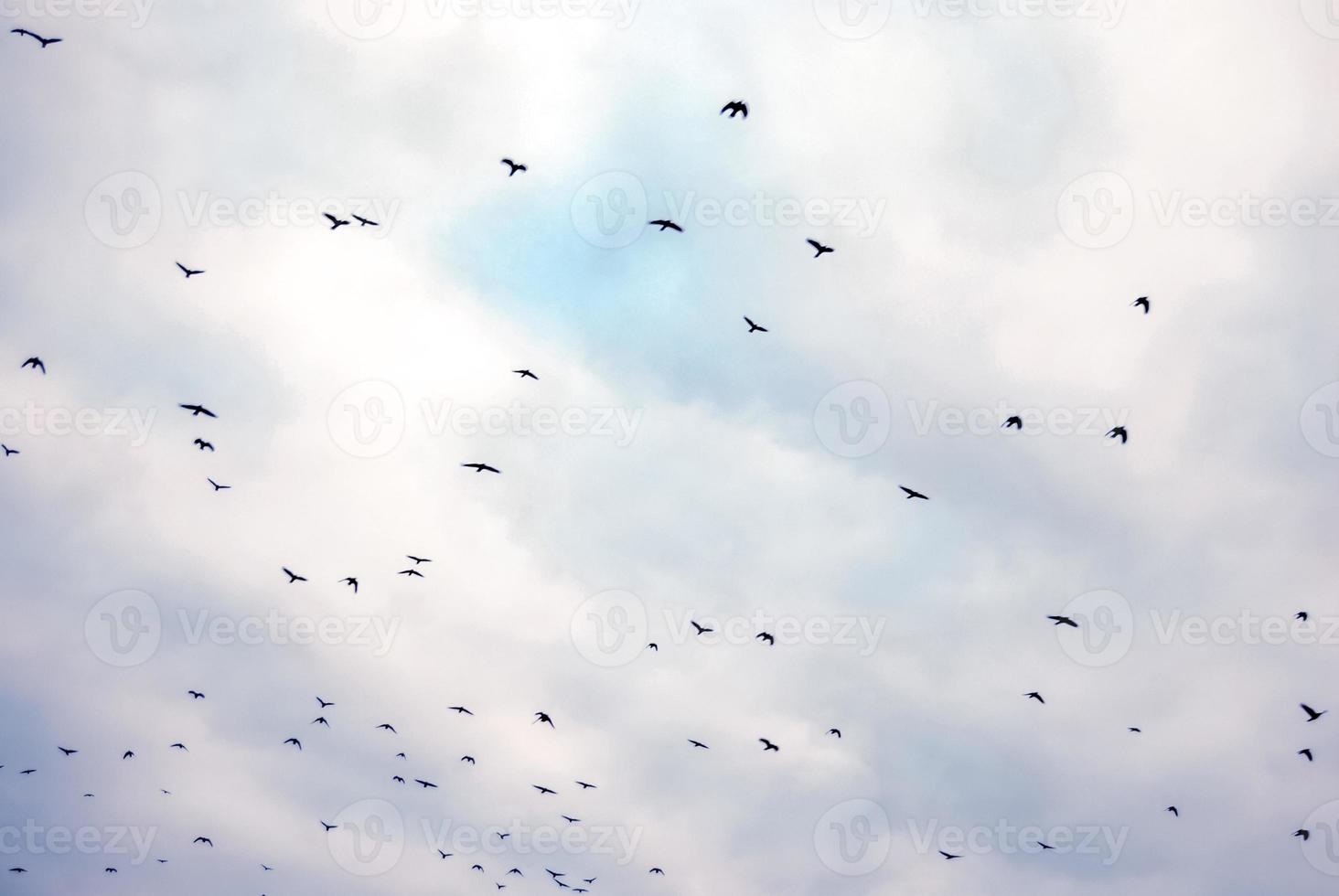 zomer blauwe hemel wolk gradiënt lichte witte achtergrond. schoonheid helder bewolkt in de zon kalme heldere winterlucht gemaakt. somber levendig cyaan landschap in omgeving dag horizon skyline uitzicht lente wind foto