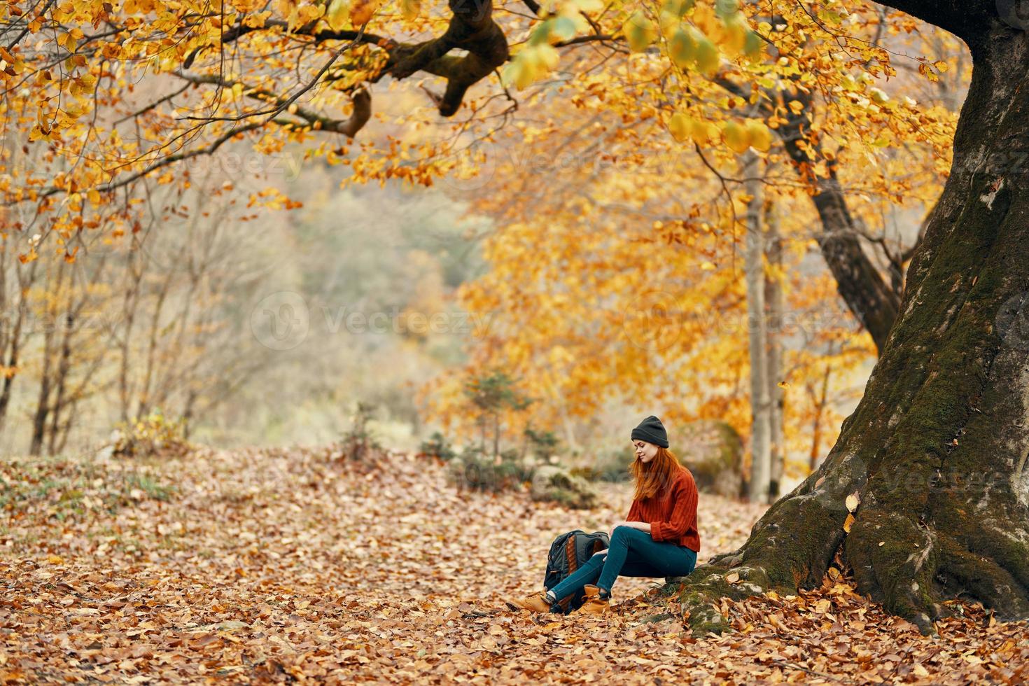 reizen toerisme vrouw model- in herfst Woud vallend bladeren landschap natuur park foto