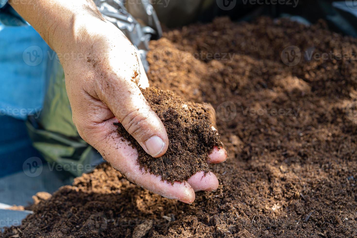 hand met veenmos organische stof verbeteren bodem voor landbouw biologische plantenteelt, ecologie concept. foto