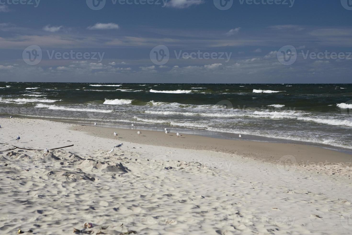 kalmte zee landschap Aan de strand van de Baltisch zee in Polen met meeuwen Aan een zonnig dag foto