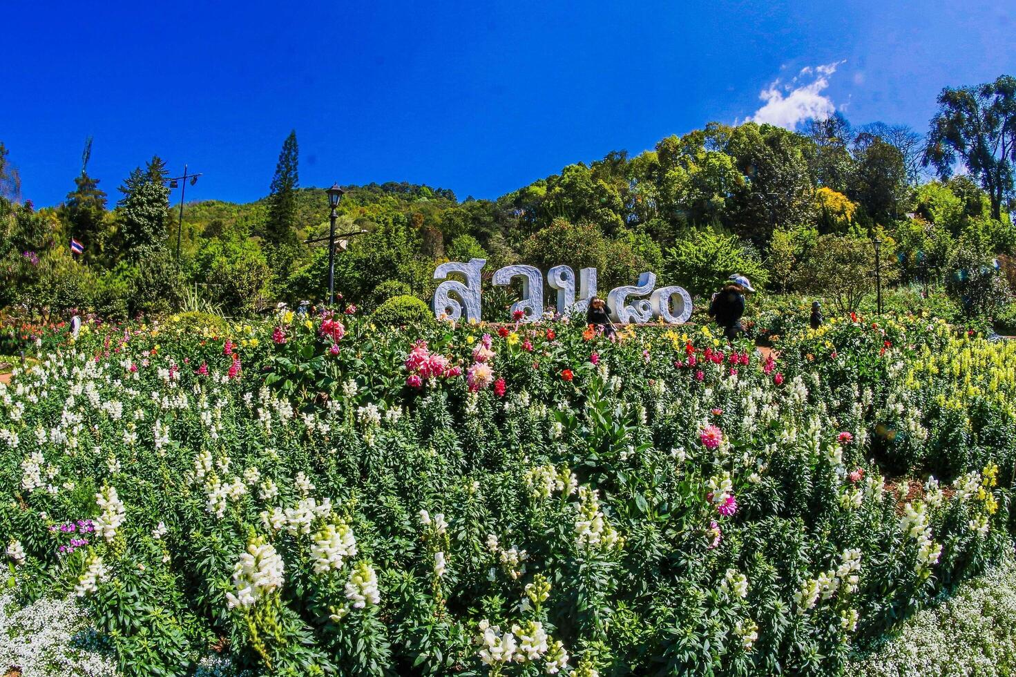 Chiang Mai, Thailand 2017- doi ang khang landbouw boerderij foto