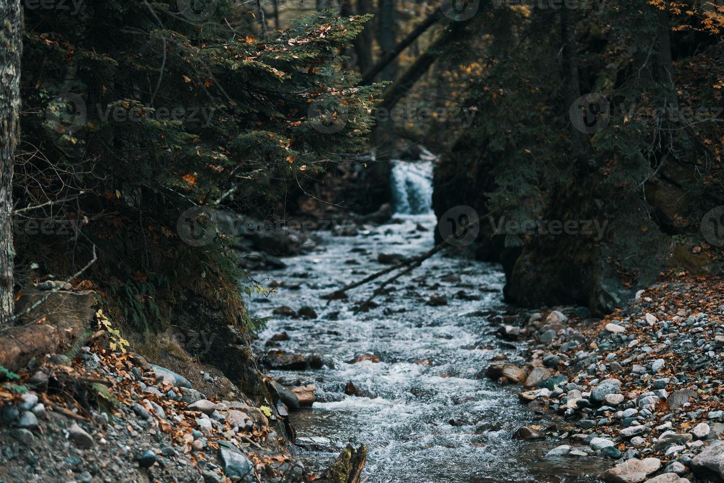 herfst rivier- in de bergen Aan natuur in de Woud en reizen model- toerisme foto