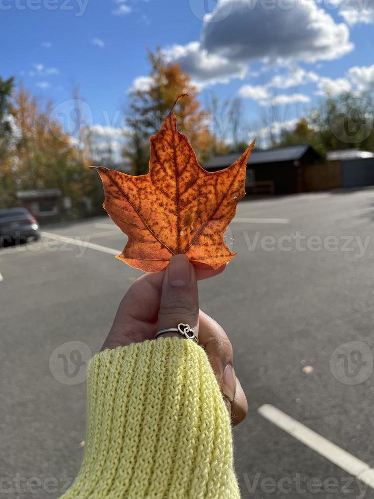 vallen seizoen Canada foto