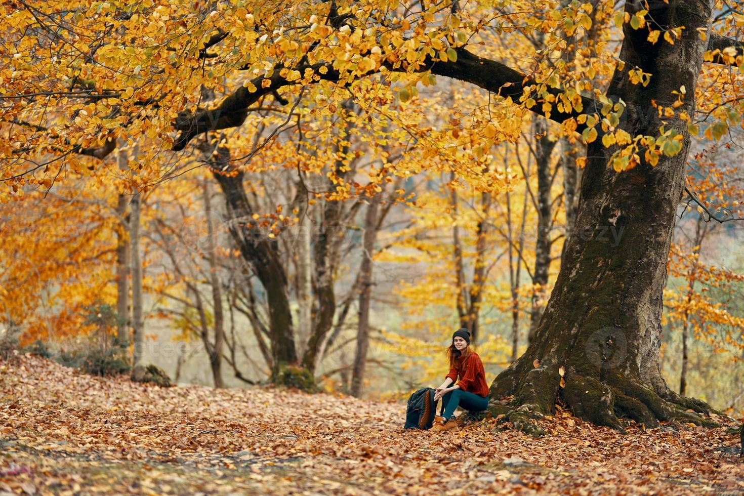 vrouw in de buurt een boom in de Woud in herfst gedaald bladeren landschap model- trui foto