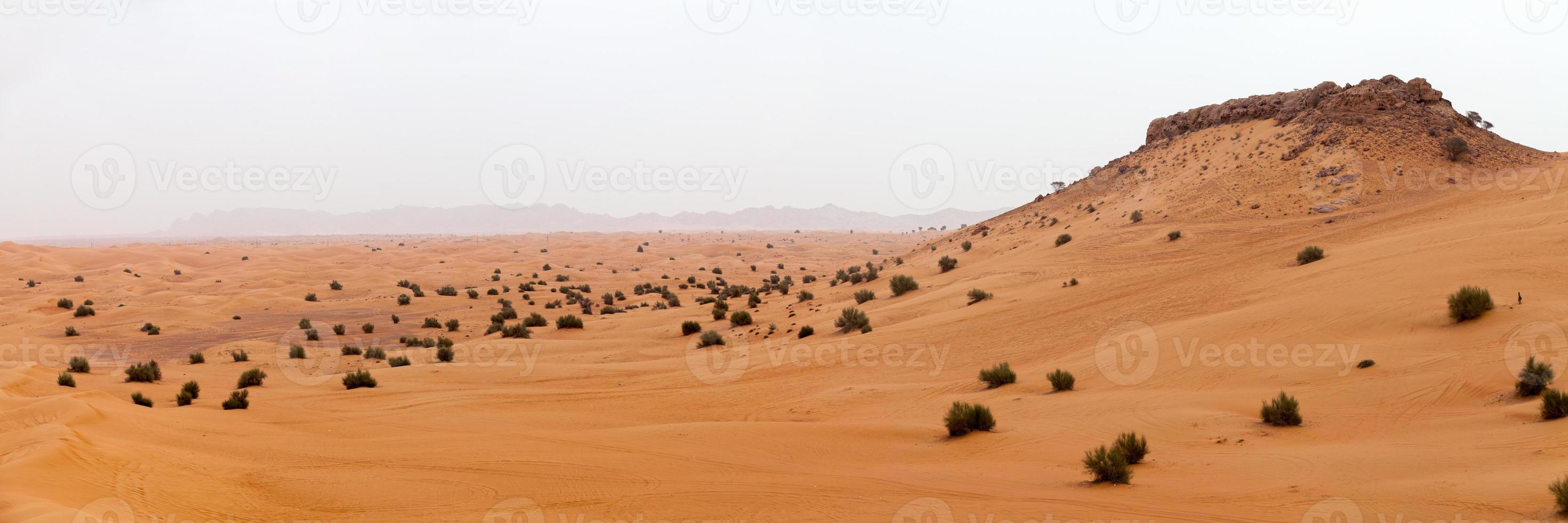 panoramisch visie van de liwa woestijn in uae foto