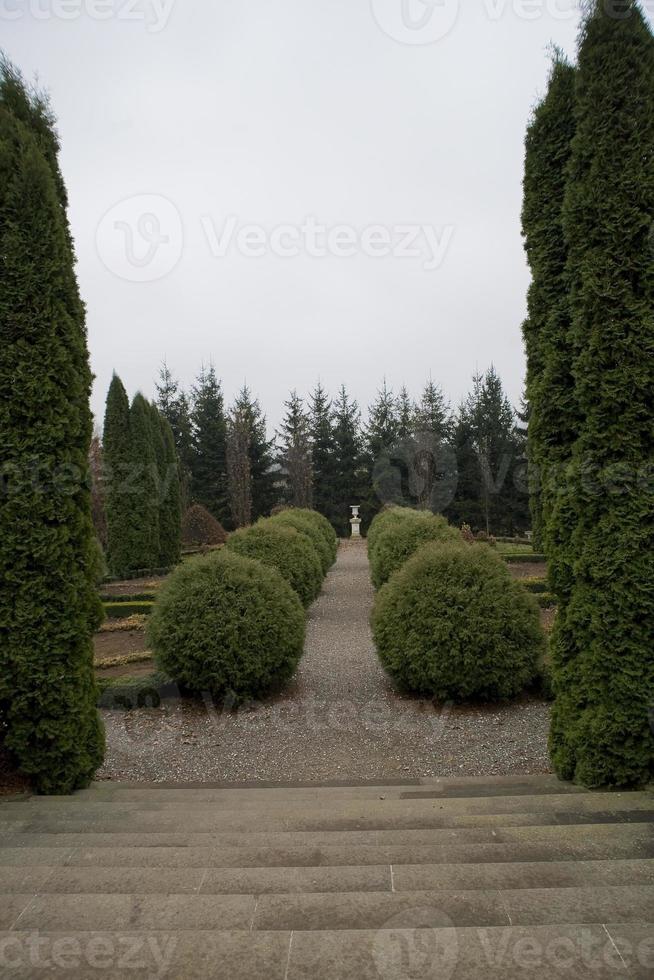 historisch park met een pad tussen sier- groenblijvend struiken Aan een grijs herfst dag foto