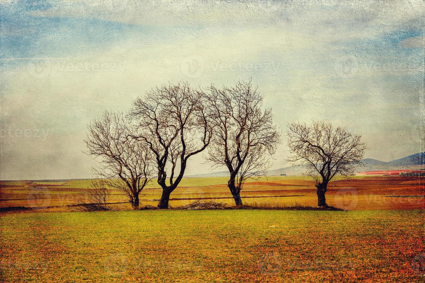 sereen minimalistische landschap aragon Spanje in winter dag foto