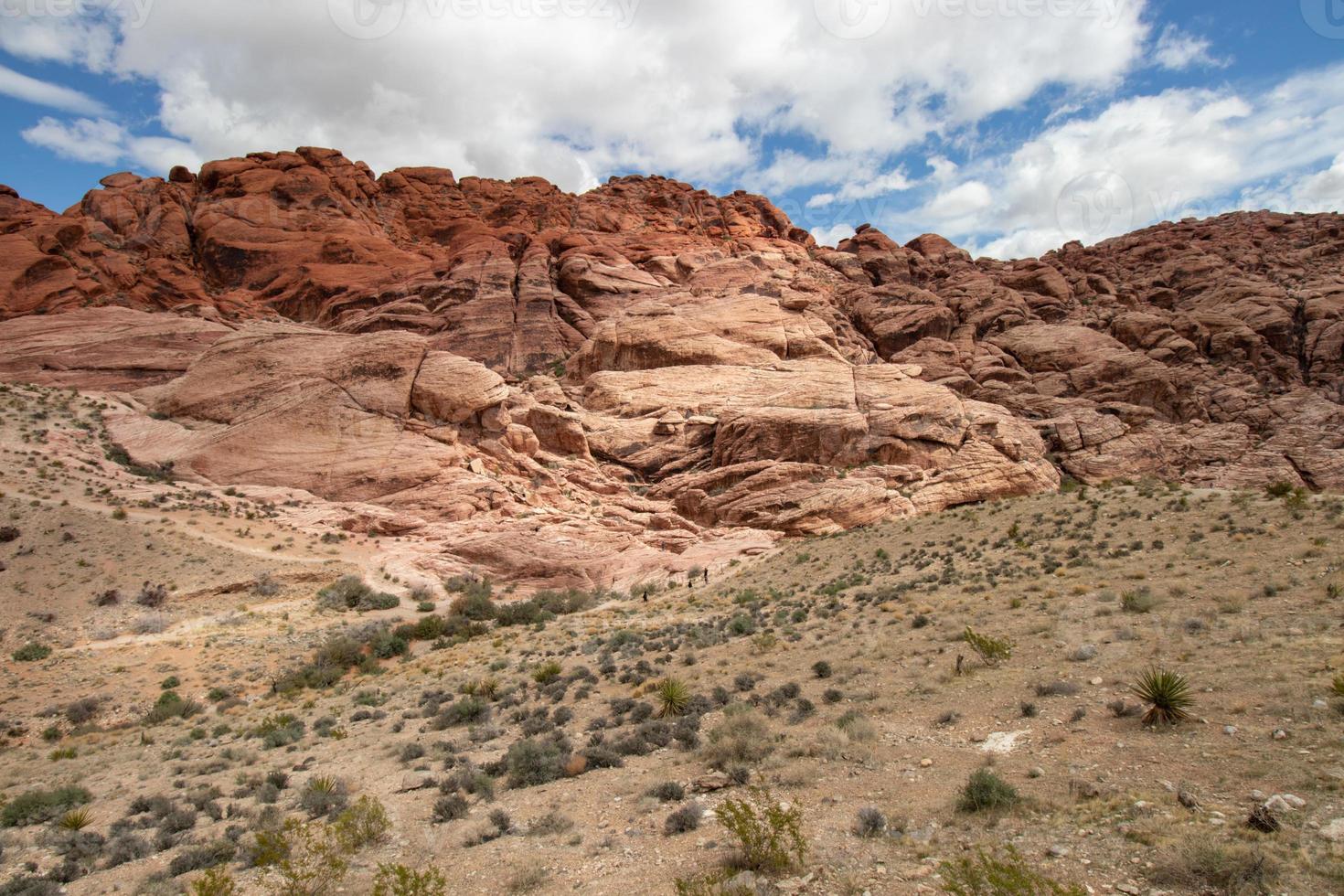 aztec zandsteen Bij rood rots Ravijn in de mojave woestijn, Nevada foto