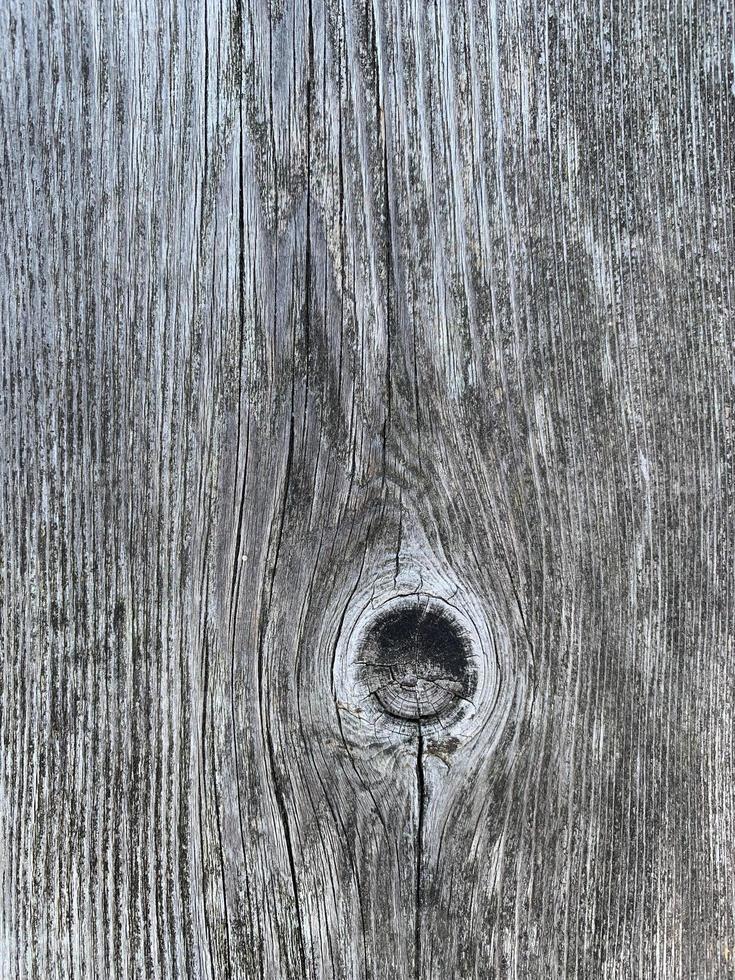 rustiek hout schuur borden met een groot knoop en hout graan foto