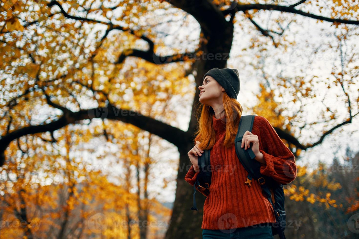 mooi vrouw in een rood trui met een rugzak Aan haar terug in de buurt een hoog boom in herfst gedaald bladeren foto