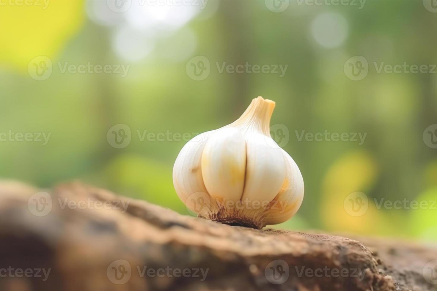 dichtbij omhoog van knoflook Aan natuur achtergrond met kopiëren ruimte. gezond veganistisch vegetarisch voedsel concept foto