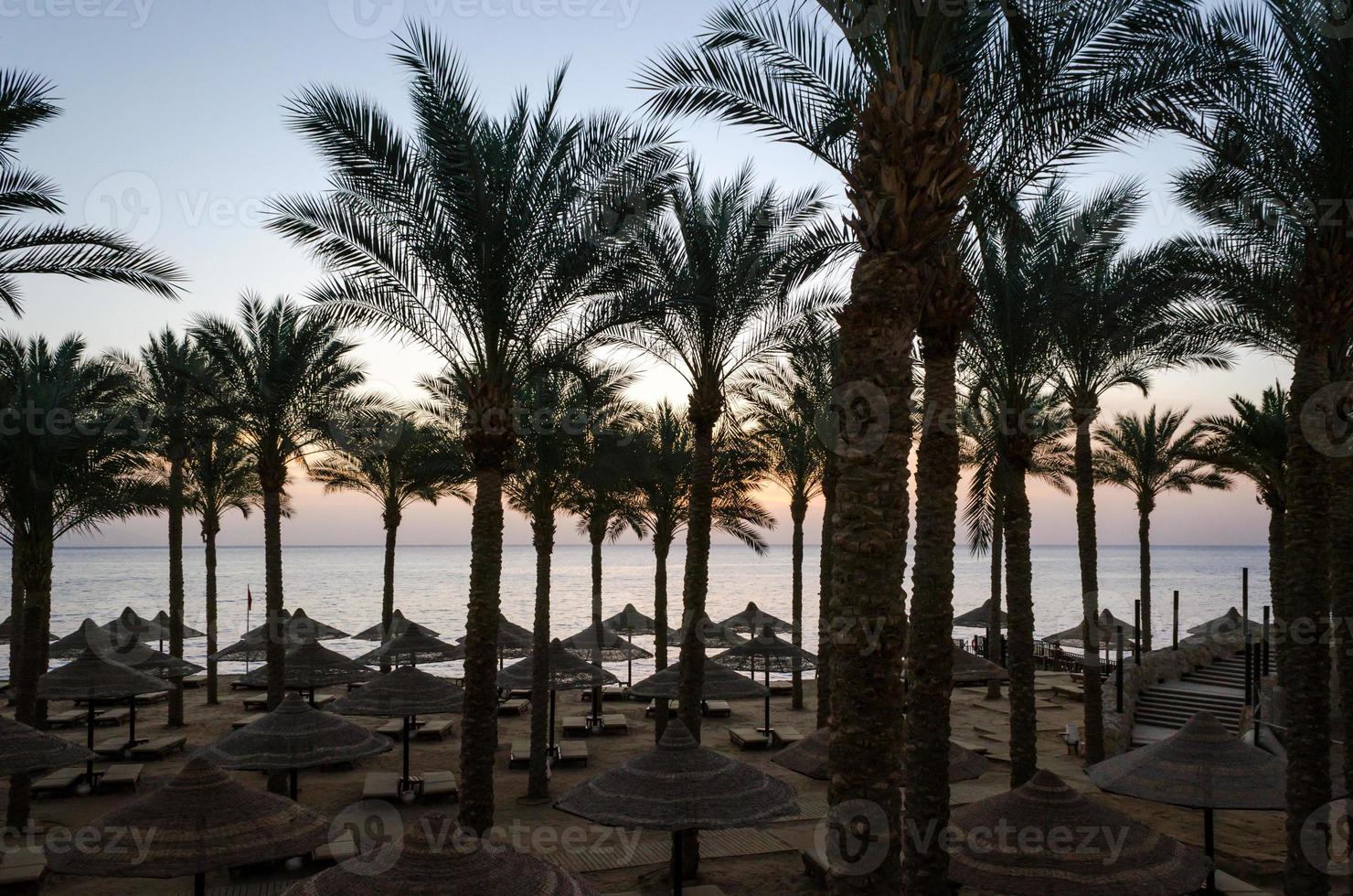 leeg strand met parasols bij zonsondergang foto