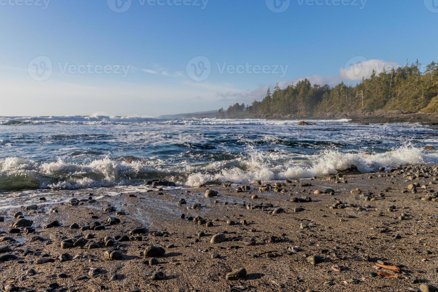rots Aan een zanderig strand net zo golven Botsing Aan de boom bekleed kust van Vancouver eiland, Canada foto
