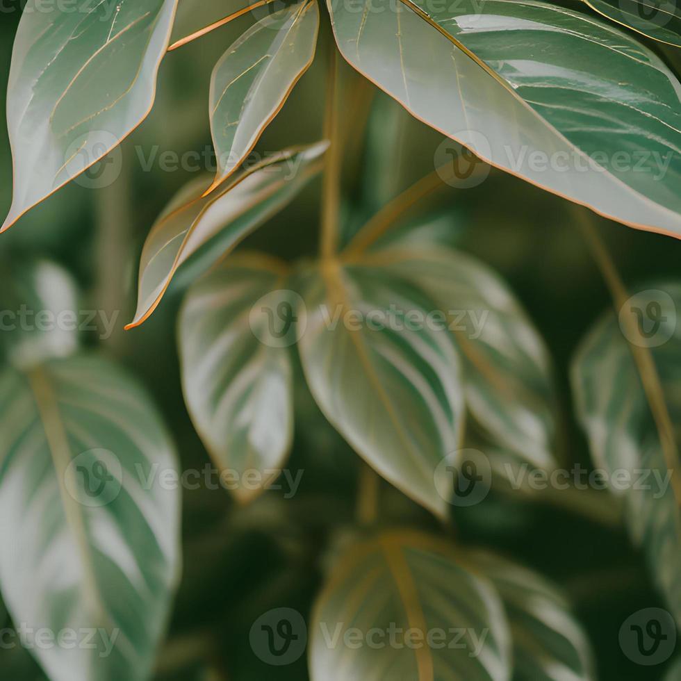 esthetisch groen achtergrond met bladeren en planten foto