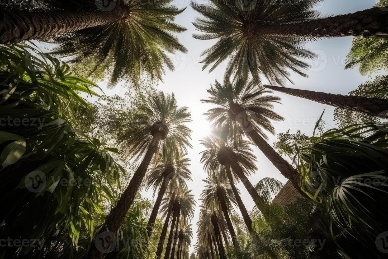palm boom silhouetten tegen lucht, bodem visie. generatief ai foto