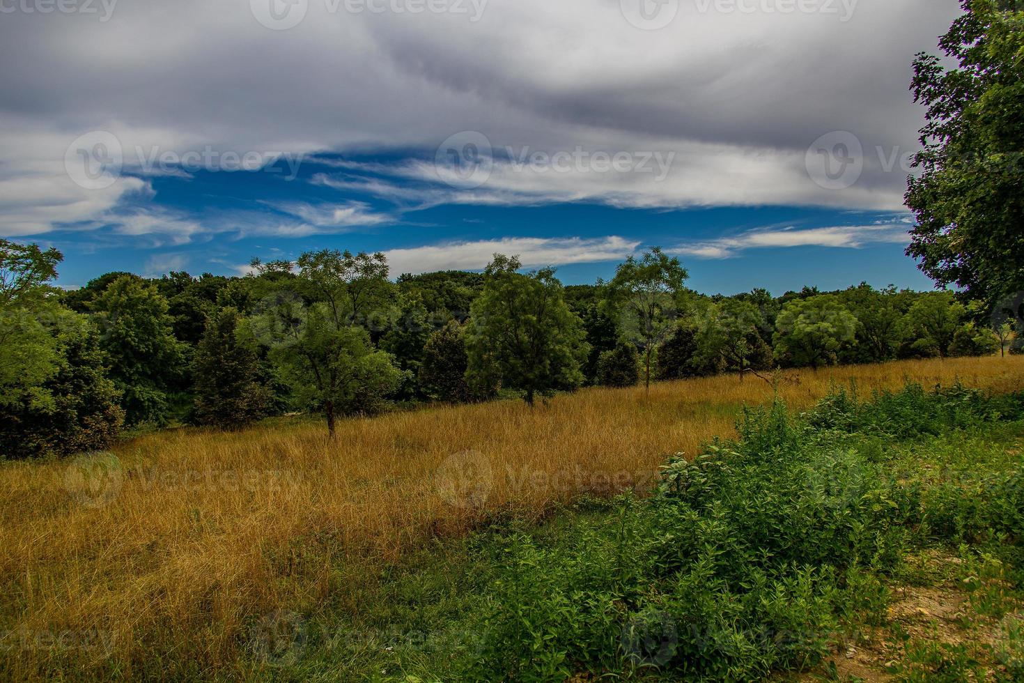 zomer landschap met groen bomen, weide, velden en lucht met wit wolken foto