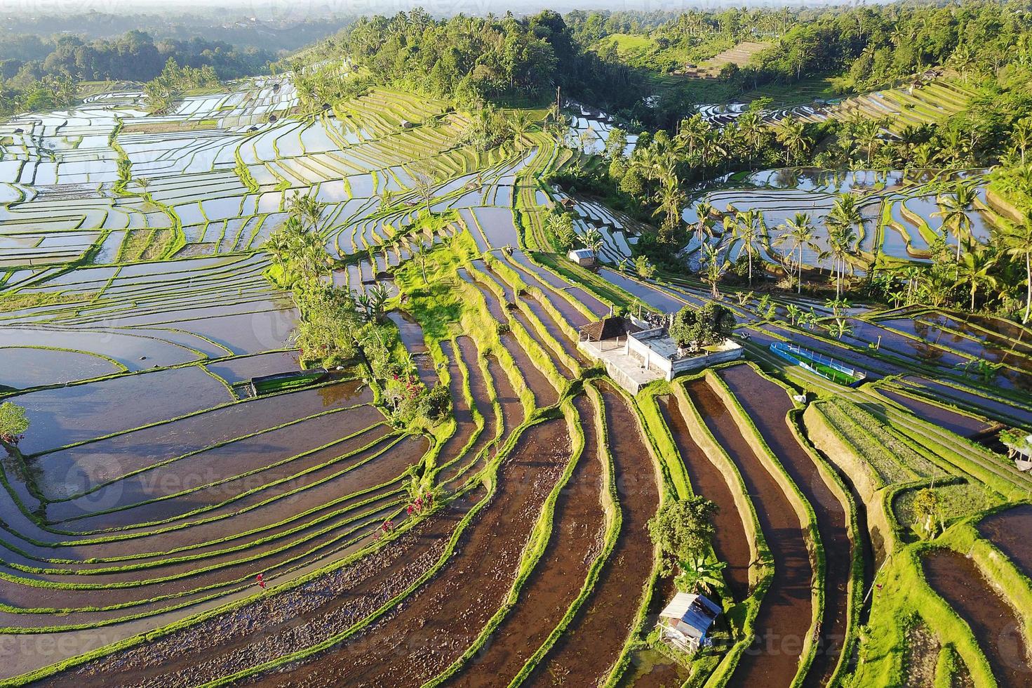 luchtfoto van Bali rijstterrassen foto