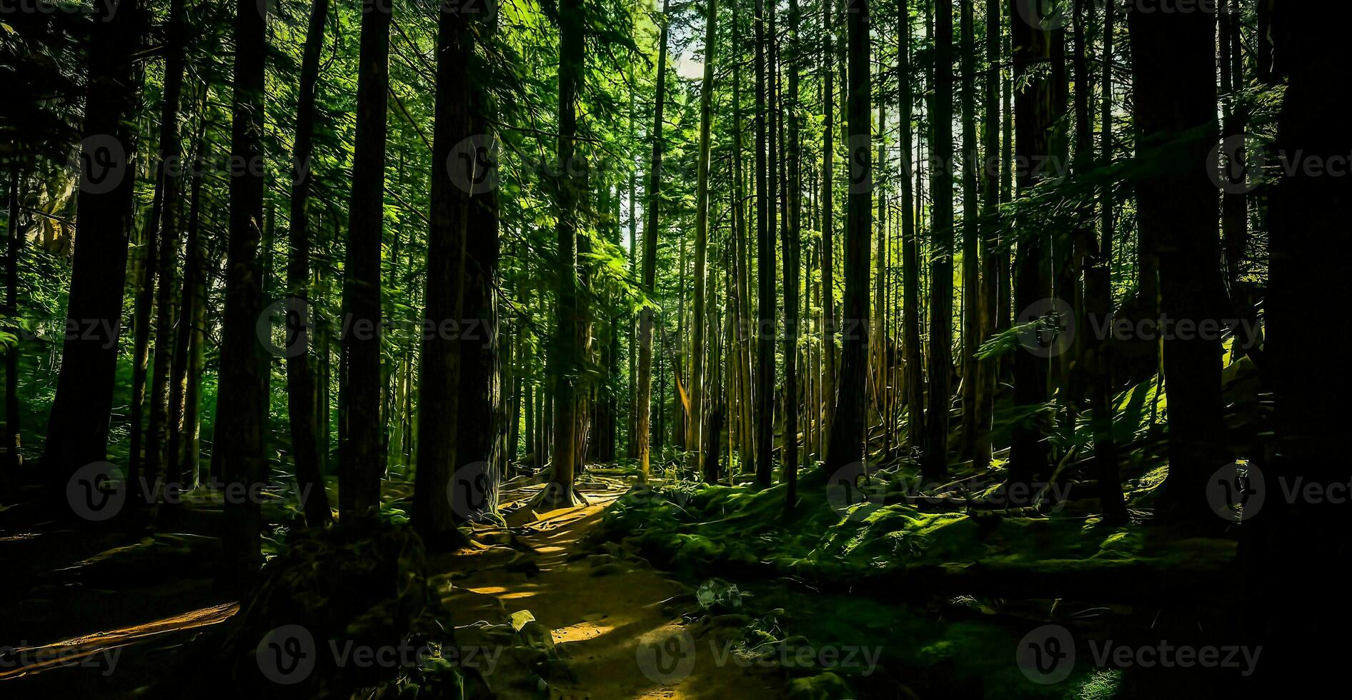 verbazingwekkend natuur behang foto