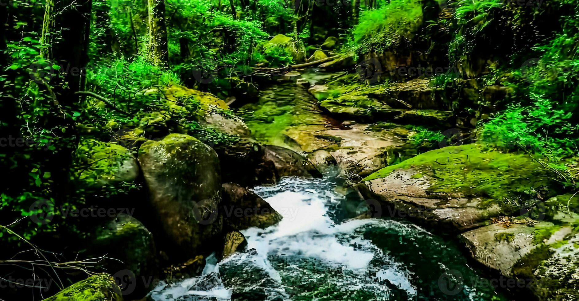 verbazingwekkend natuur behang foto