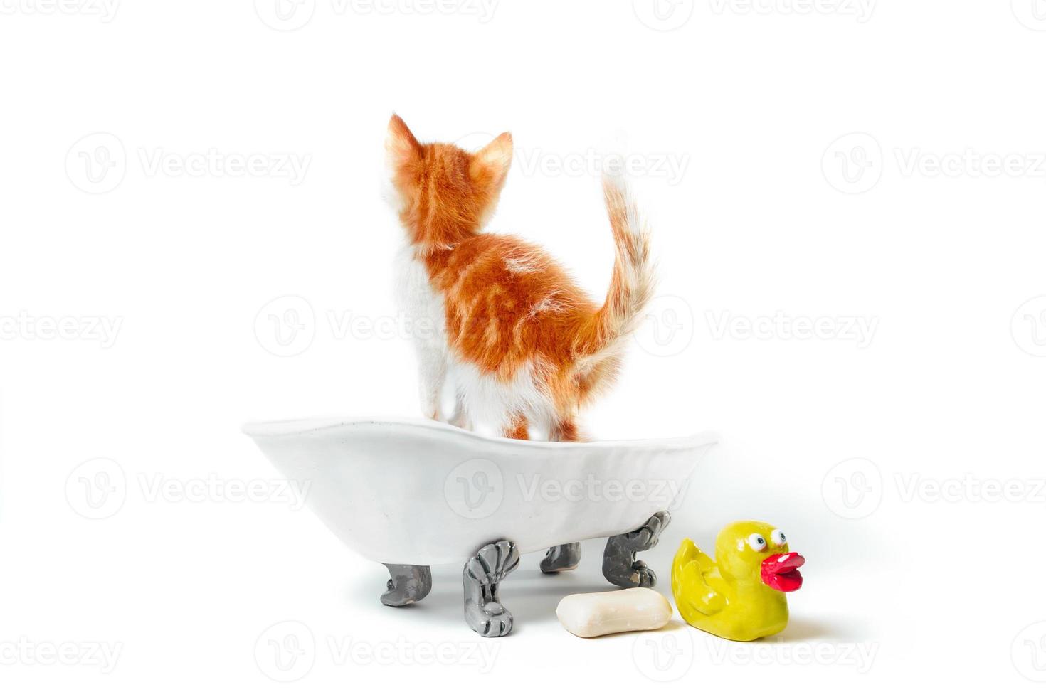 oranje kitten met badkuipartikelen foto