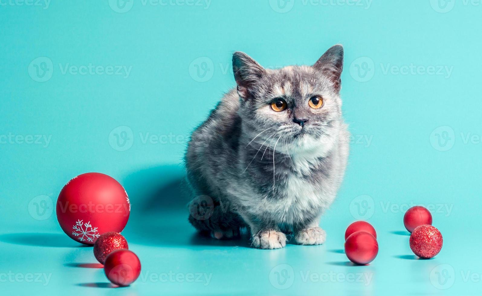 kat met kerstballen foto