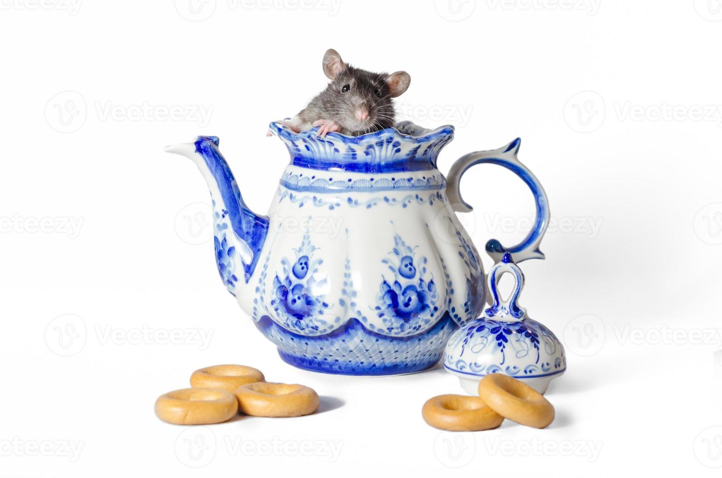 muis in een theepot met snacks foto