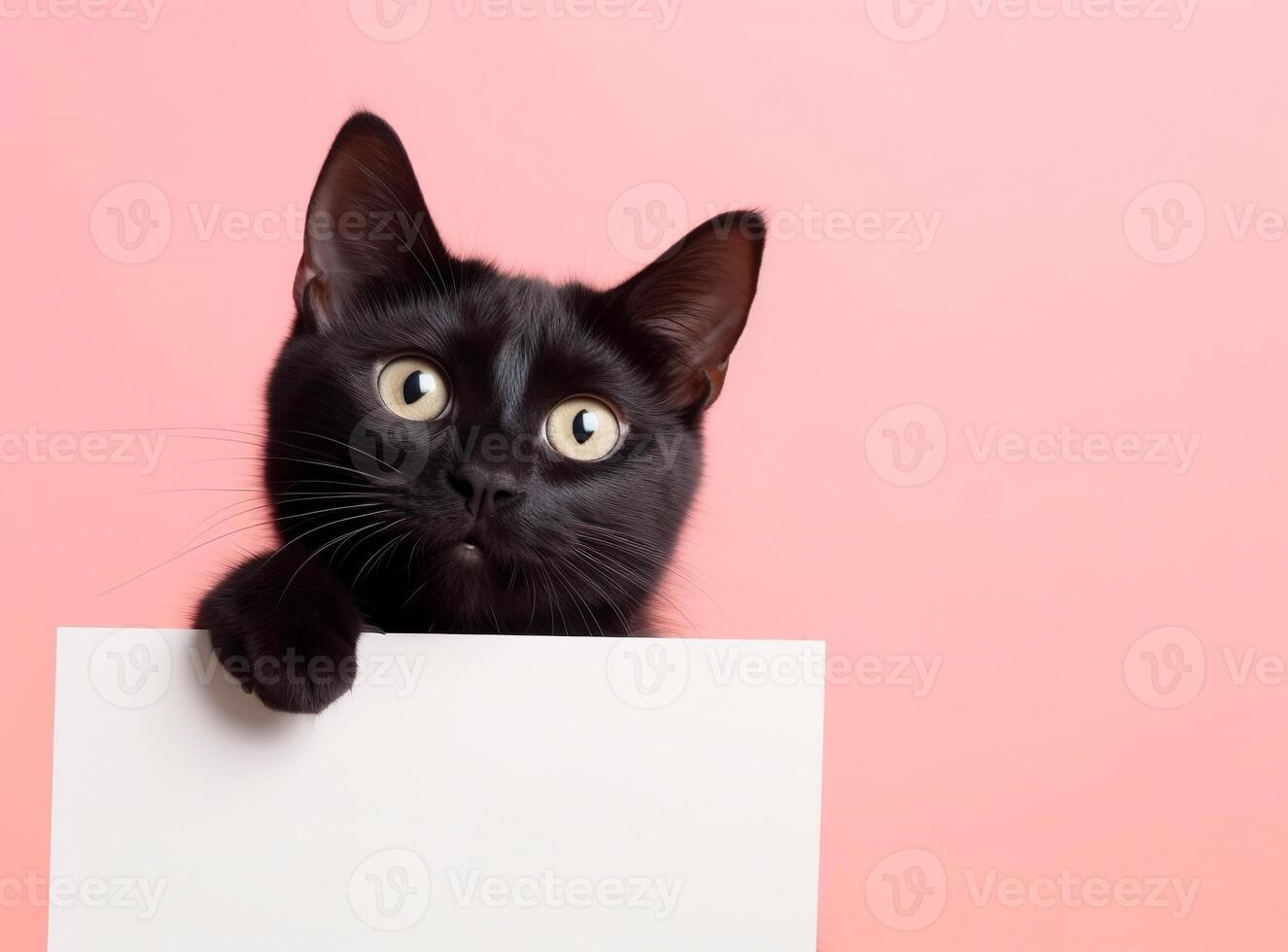 een schattig zwart kat Holding blanco whiteboard Aan geïsoleerd roze kleur achtergrond, speels en aanbiddelijk huisdier, generatief ai foto