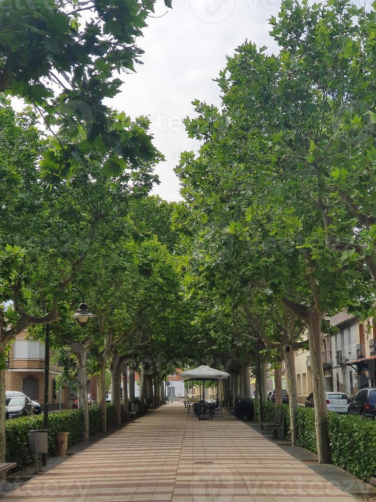 steeg met groen bomen Aan een zomer dag en een cafe in een Spaans stad- foto