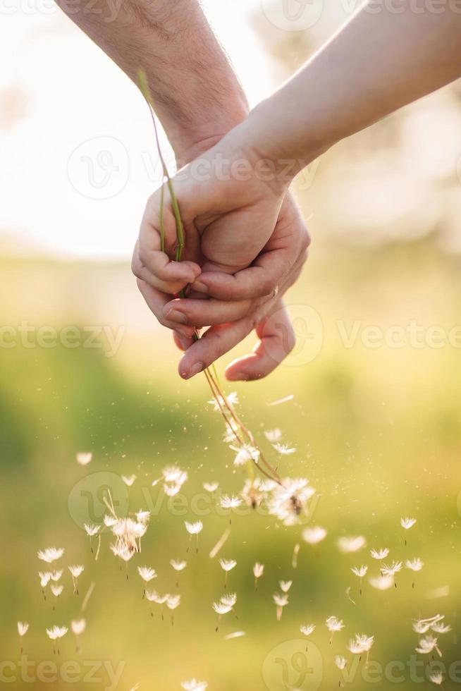 jonge verliefde paar hand in hand met elkaar met een boeket van paardebloemen in zomer park, weergave van handen. een paar handen met een paardenbloem foto