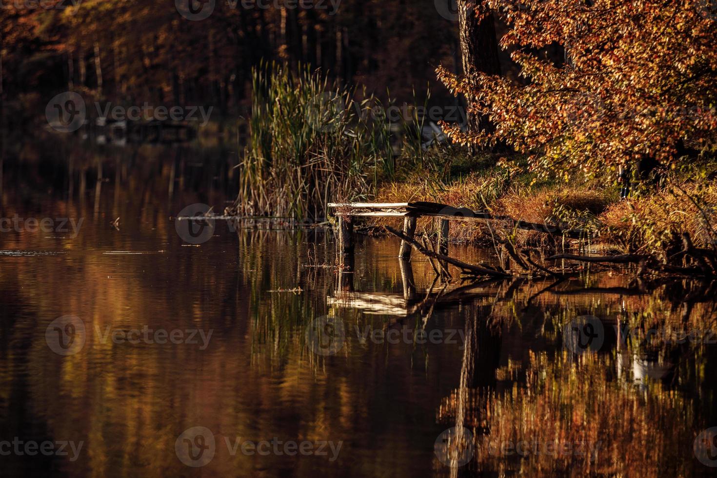 houten brug over het meer. bladeren die in het water drijven, herfst, brug van boomstammen, platform voor vissers foto