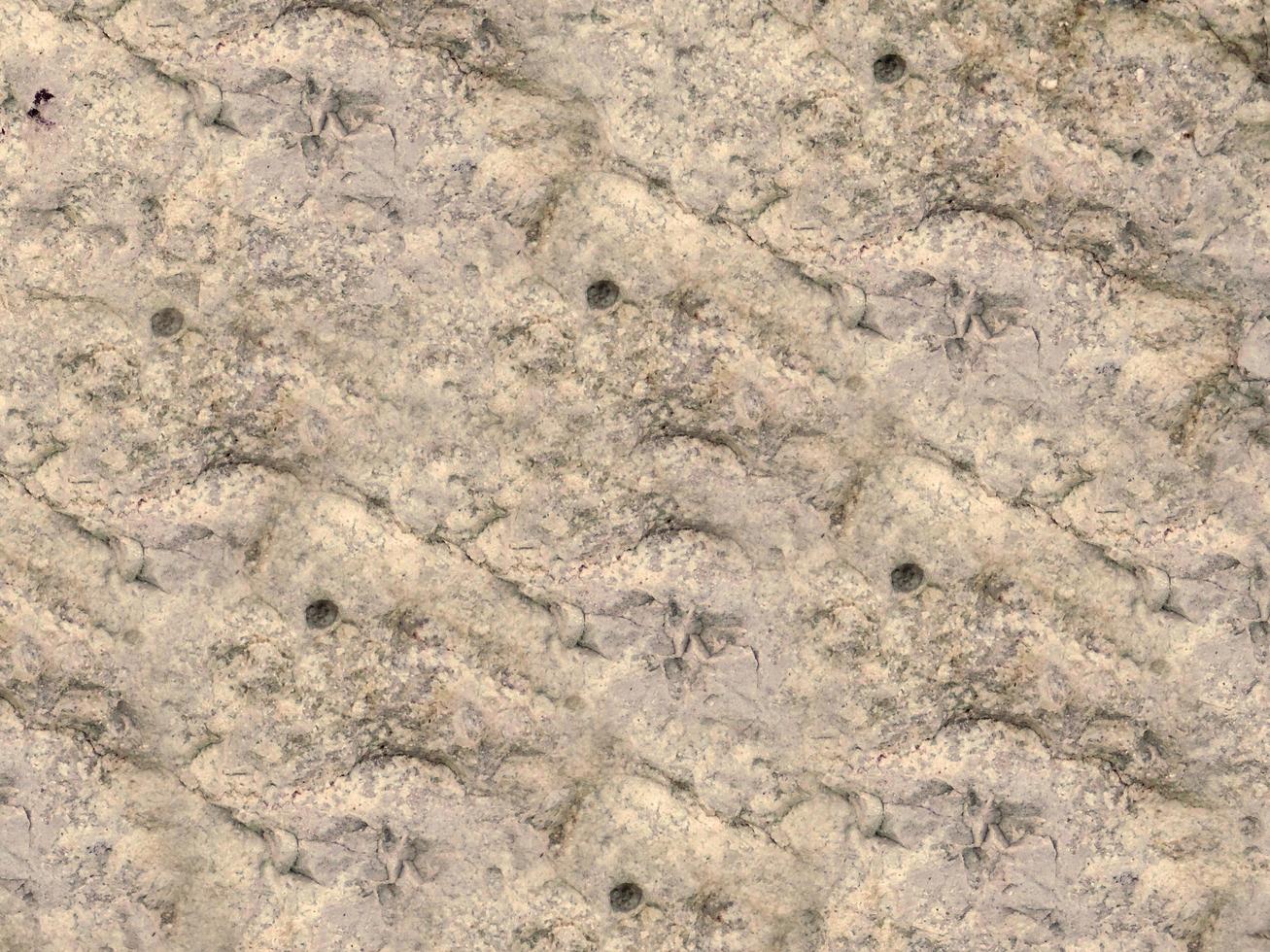 close-up van steen of rotswand voor achtergrond of textuur foto