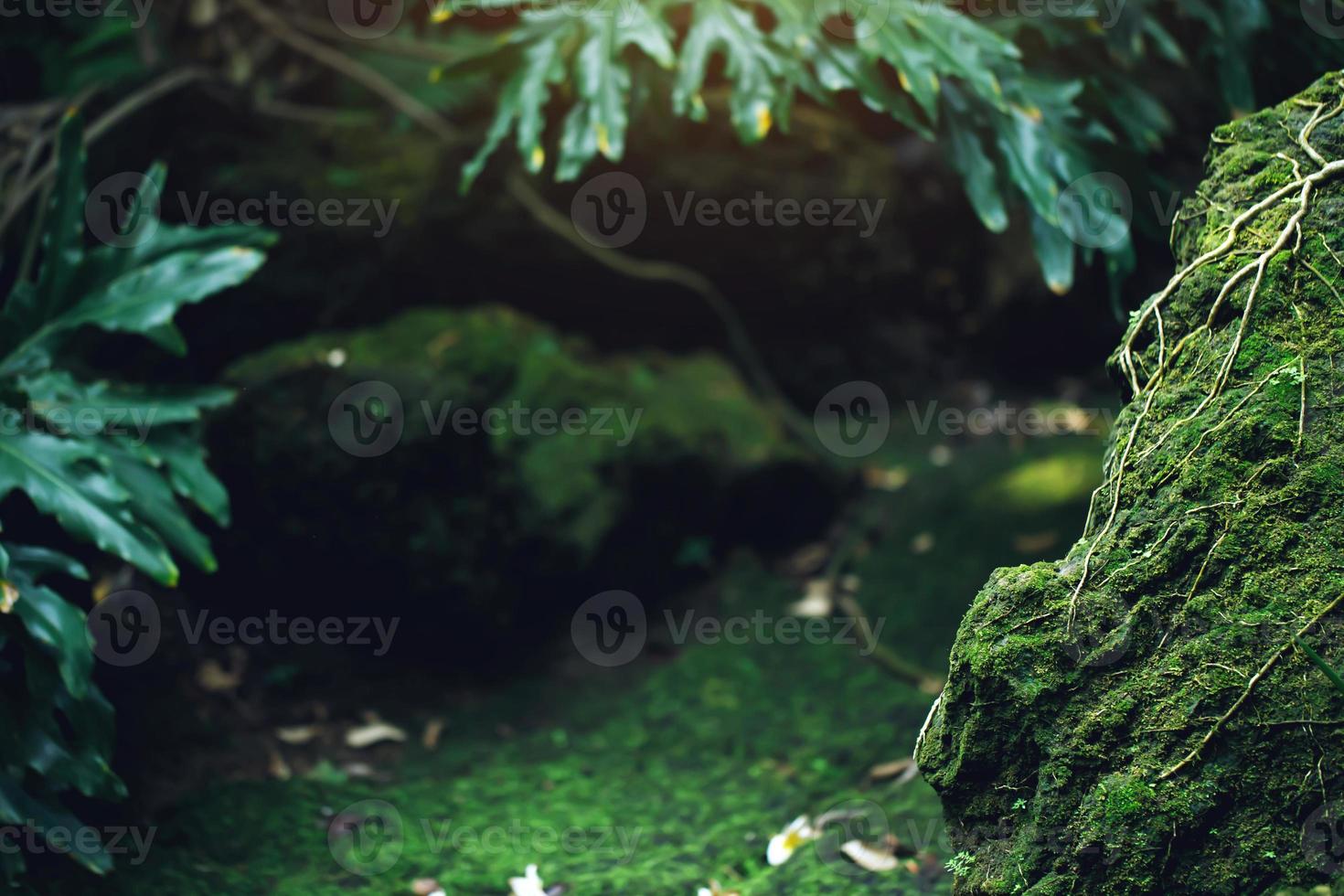 mooi heldergroen mos dat volwassen is geworden, bedekt de ruwe stenen en op de vloer in het bos. tonen met macroweergave. rotsen vol met de mostextuur in de natuur voor behang. zachte focus. foto