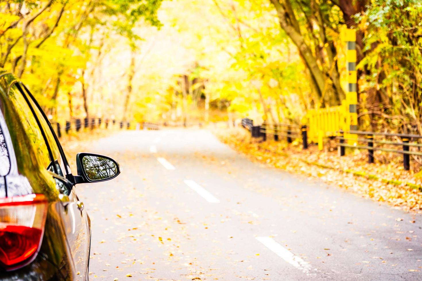 auto op de weg in herfst bos foto