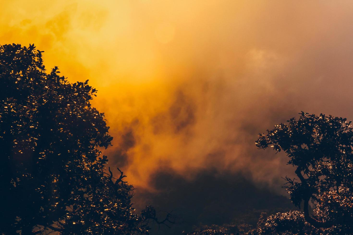 gouden licht in bebost en berg met zonsopkomst in ochtend- mist.mist Hoes de oerwoud heuvel in Thailand foto