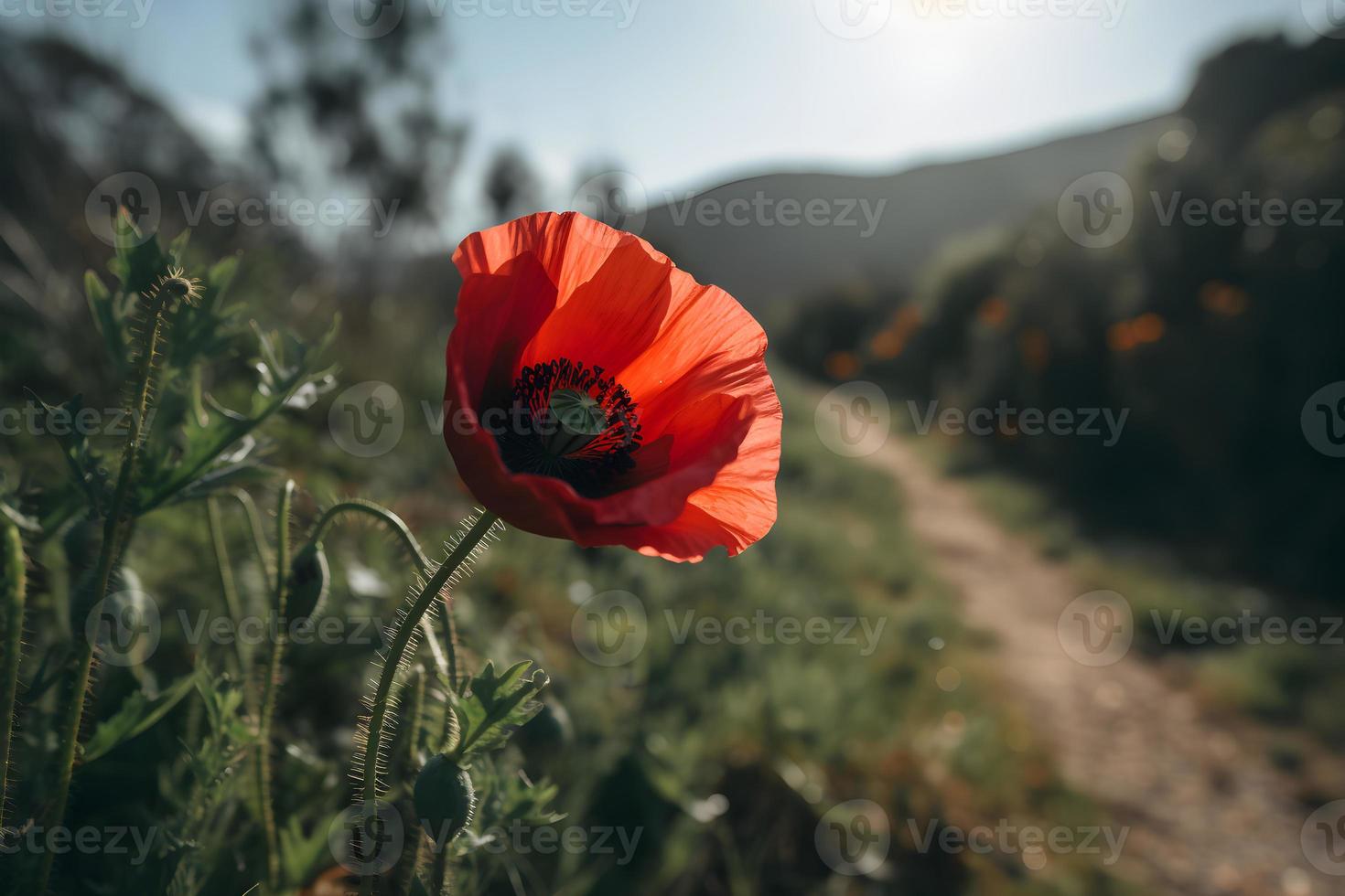 polly bloem in de wild boeiend fotografie van een mooi en bijzonder bloesem foto